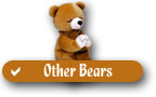 Ty Beanie Babies Other Bears Checklist