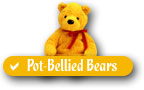 Ty Pot-Bellied Beanie Babies Bears Checklist