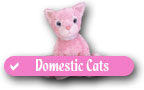 Checklist of Ty Beanie Baby Domestic Cats