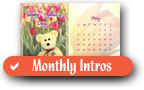 Monthly Introductions for Ty Beanie Babies