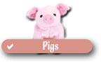 Checklist of Ty Aquatic Beanie Babies