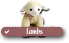 Checklist of Ty Aquatic Beanie Babies