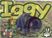 Common Card
